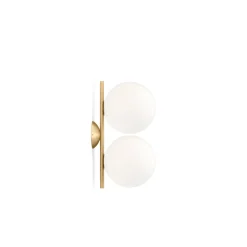 IC Lights C/W1 Double