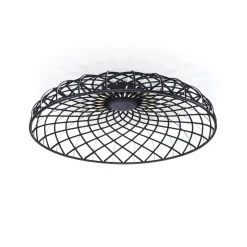 Skynest C