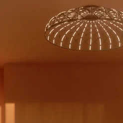 Skynest C