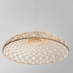 Skynest Suspension