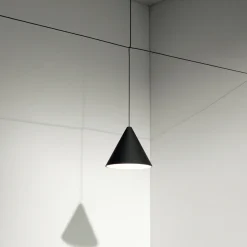 String Light Cone