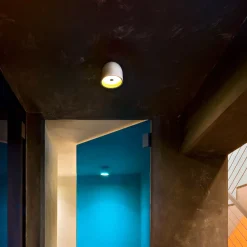 Wan Ceiling/Wall