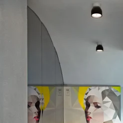 Wan Ceiling/Wall